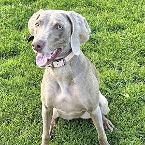 Fundraising Page: Alexis Wilkinson